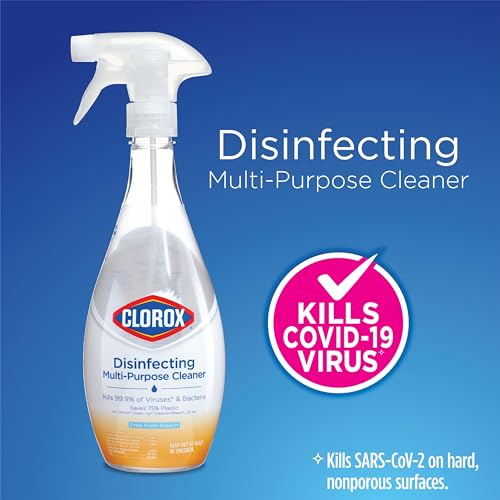 Clorox CLEANING_AGENT