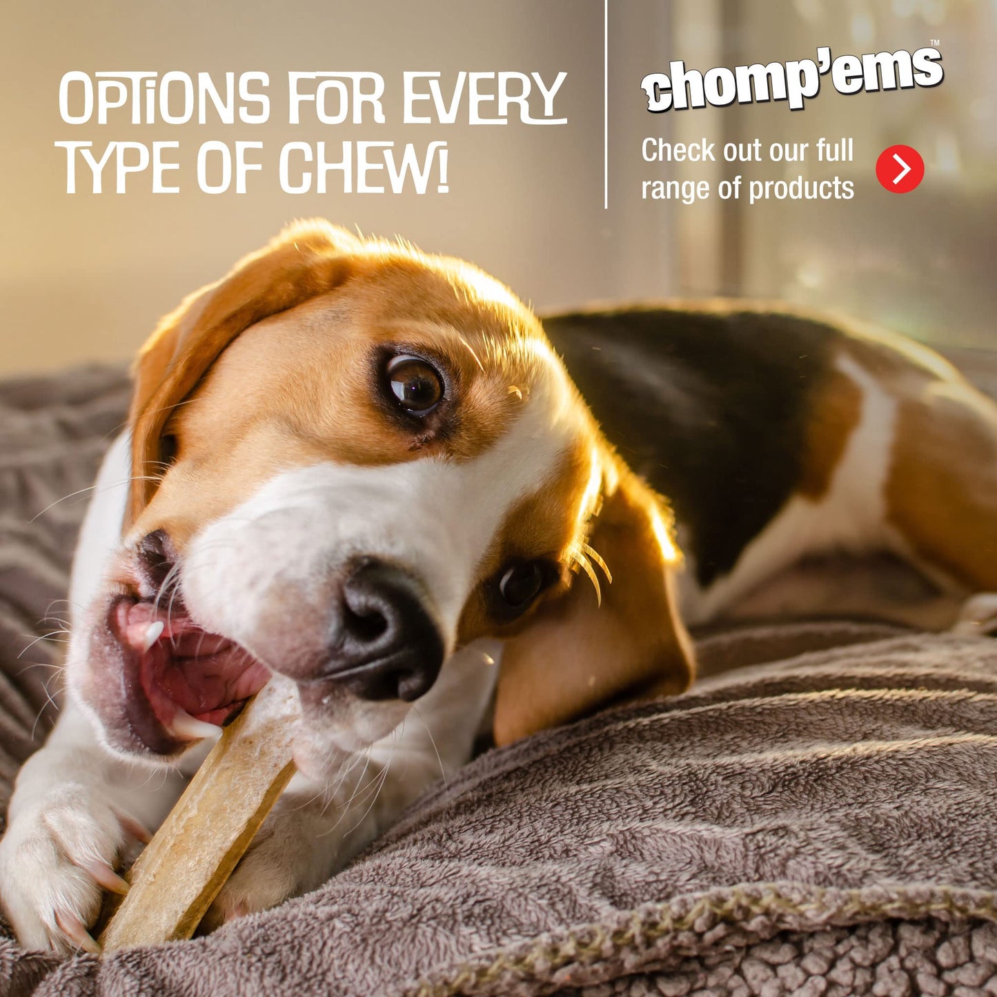 Chomp'ems Purehide Chews - Slow Roasted Naturally Delicious Rawhide Dog Treats - High Protein Beef Hide - Ultimate Online Deals