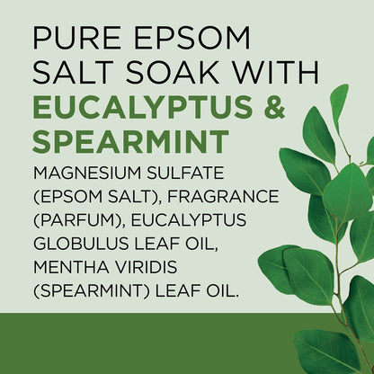 Dr Teal's Pure Epsom Salt, Relax & Relief With Eucalyptus And Spearmint, 3 lb (Pack of 4) (Packaging May Vary) - Ultimate Online Deals