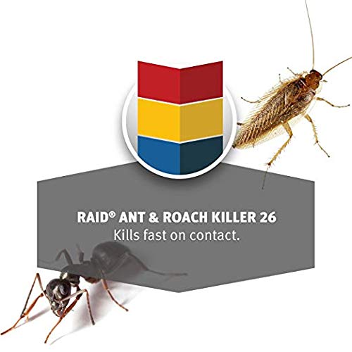 Raid Ant & Roach Killer Defense System, Outdoor Fresh Scent 17.5 Ounce (Pack of 12) - Ultimate Online Deals