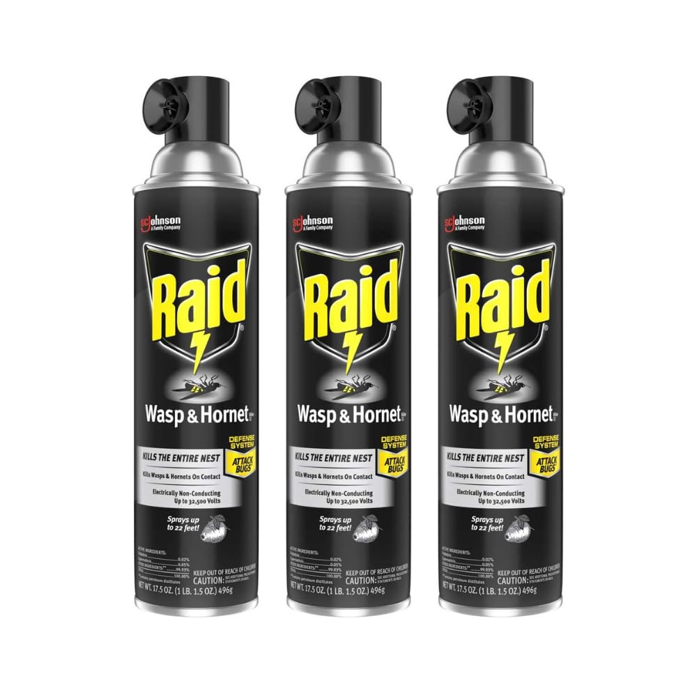 Raid Wasp and Hornet, 17.5 Oz - Ultimate Online Deals