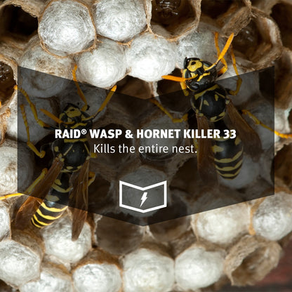 Raid Wasp and Hornet, 17.5 Oz - Ultimate Online Deals