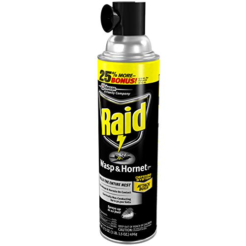 Raid Wasp and Hornet Spray - 17.5 Ounces - 3 Pack - Ultimate Online Deals