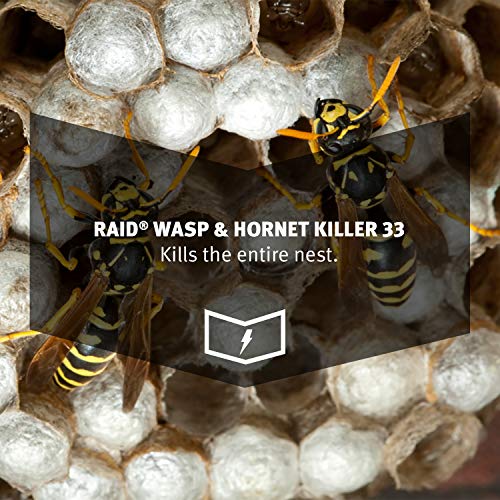 Raid Wasp and Hornet Spray - 17.5 Ounces - 3 Pack - Ultimate Online Deals